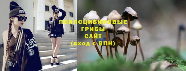 спиды Навашино