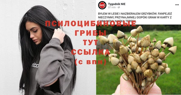 спиды Навашино