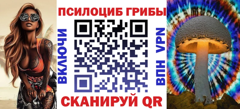 купить наркотики цена  Искитим  Псилоцибиновые грибы Cubensis 