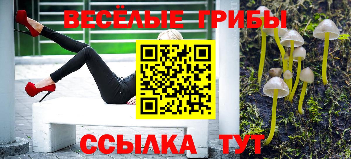 Гашиш Искитим