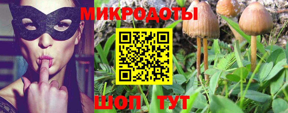 Псилоцибиновые грибы Cubensis Искитим