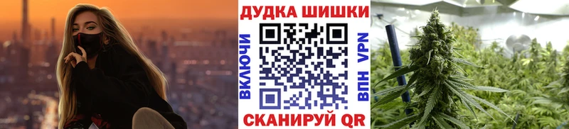 Бошки Шишки сатива  Искитим 